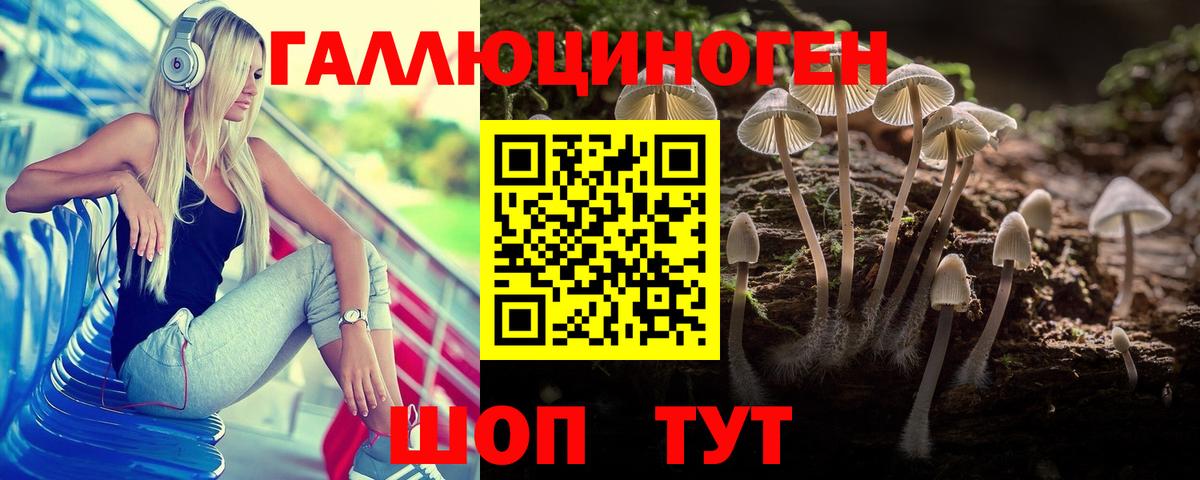 Галлюциногенные грибы прущие грибы  Вход с VPN  Кызыл 