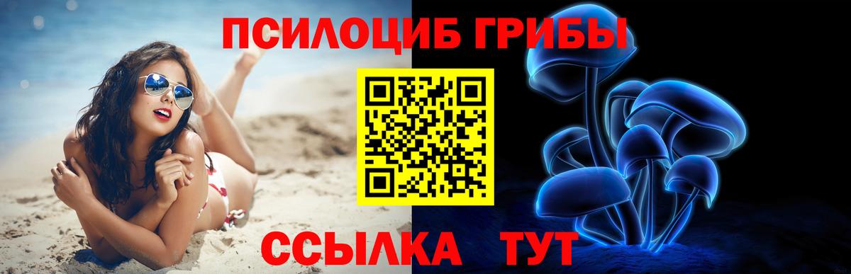Псилоцибиновые грибы прущие грибы Кызыл